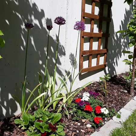 Haus Ruetzbach ניוסטיפט אים סטובאיטל