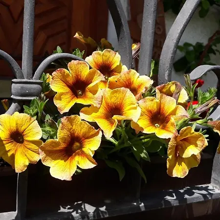 Haus Ruetzbach דירה ניוסטיפט אים סטובאיטל