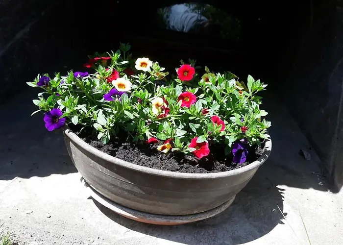 Lejlighed Haus Ruetzbach