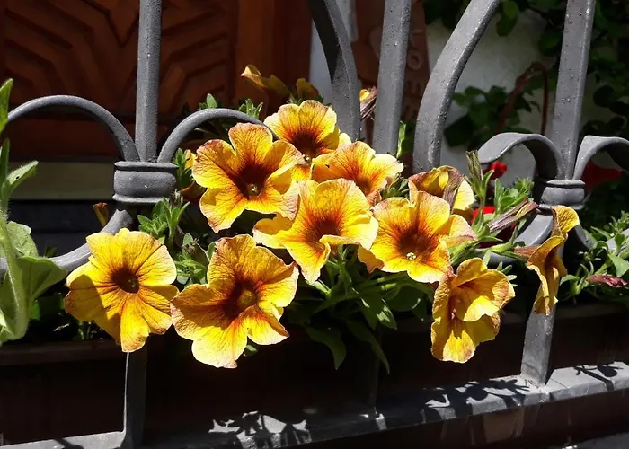 Haus Ruetzbach Lejlighed Neustift im Stubaital