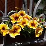 Haus Ruetzbach Appartement Neustift im Stubaital